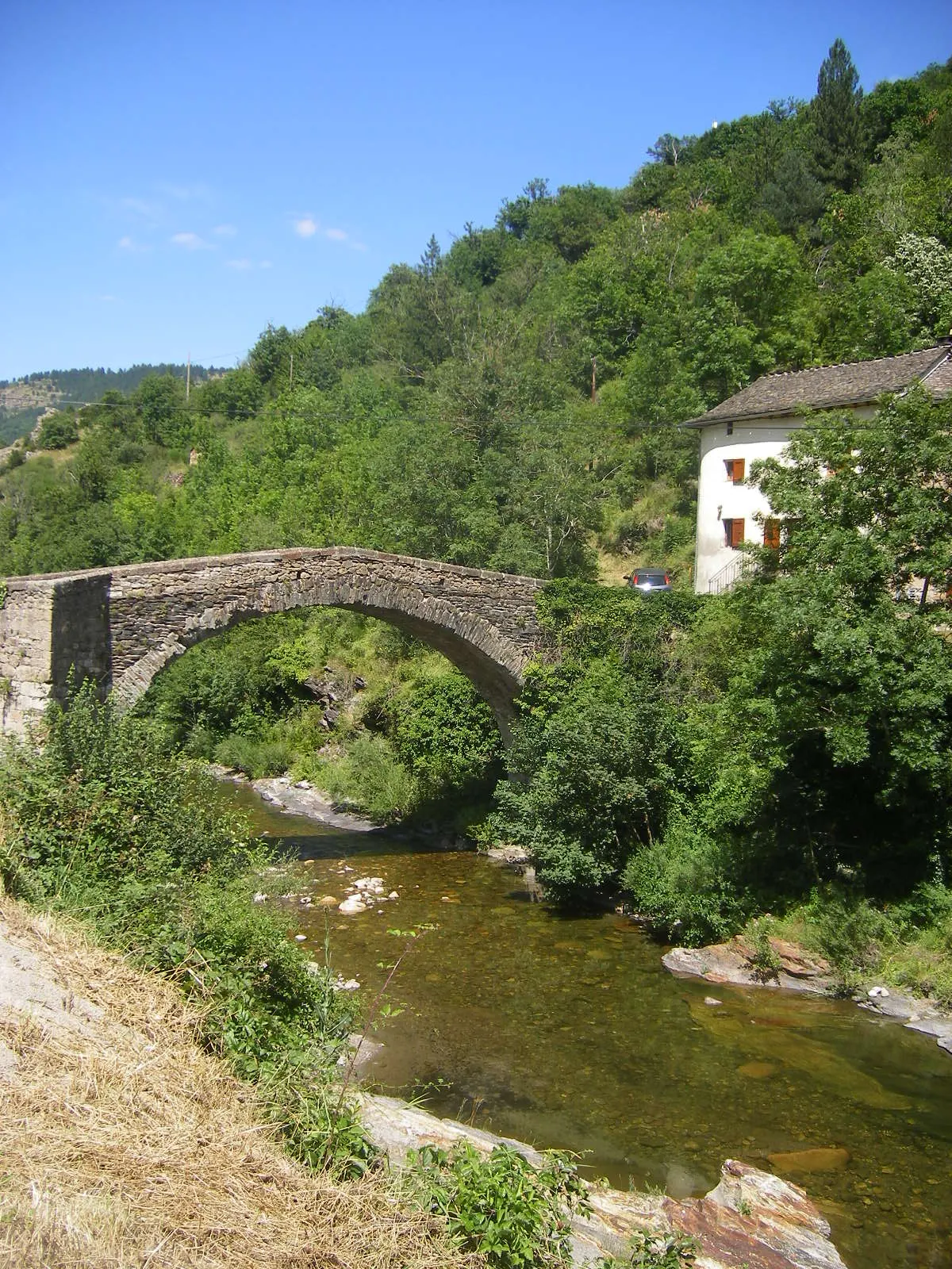 Le Tarnon