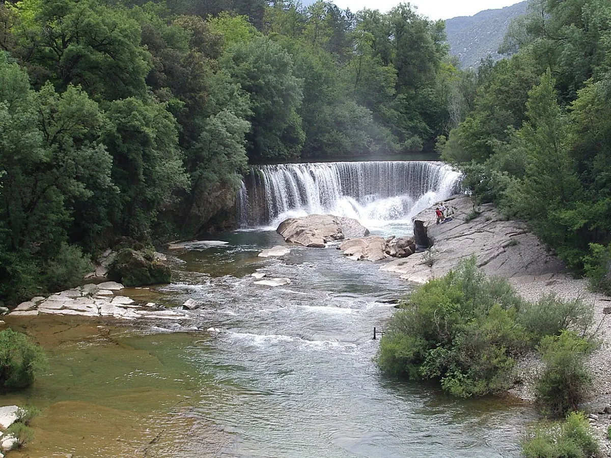 La Vis
