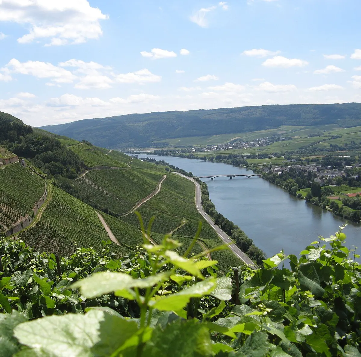 La Moselle