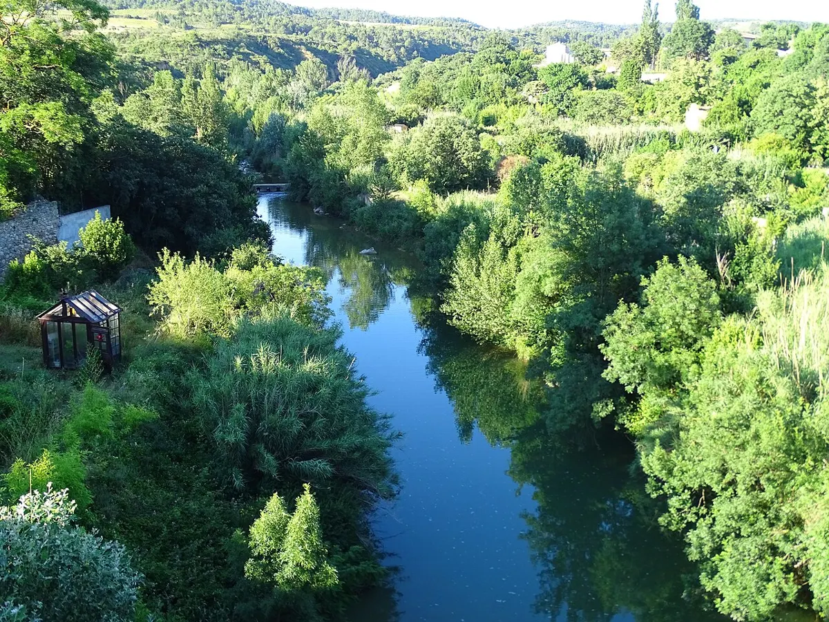 La Nielle