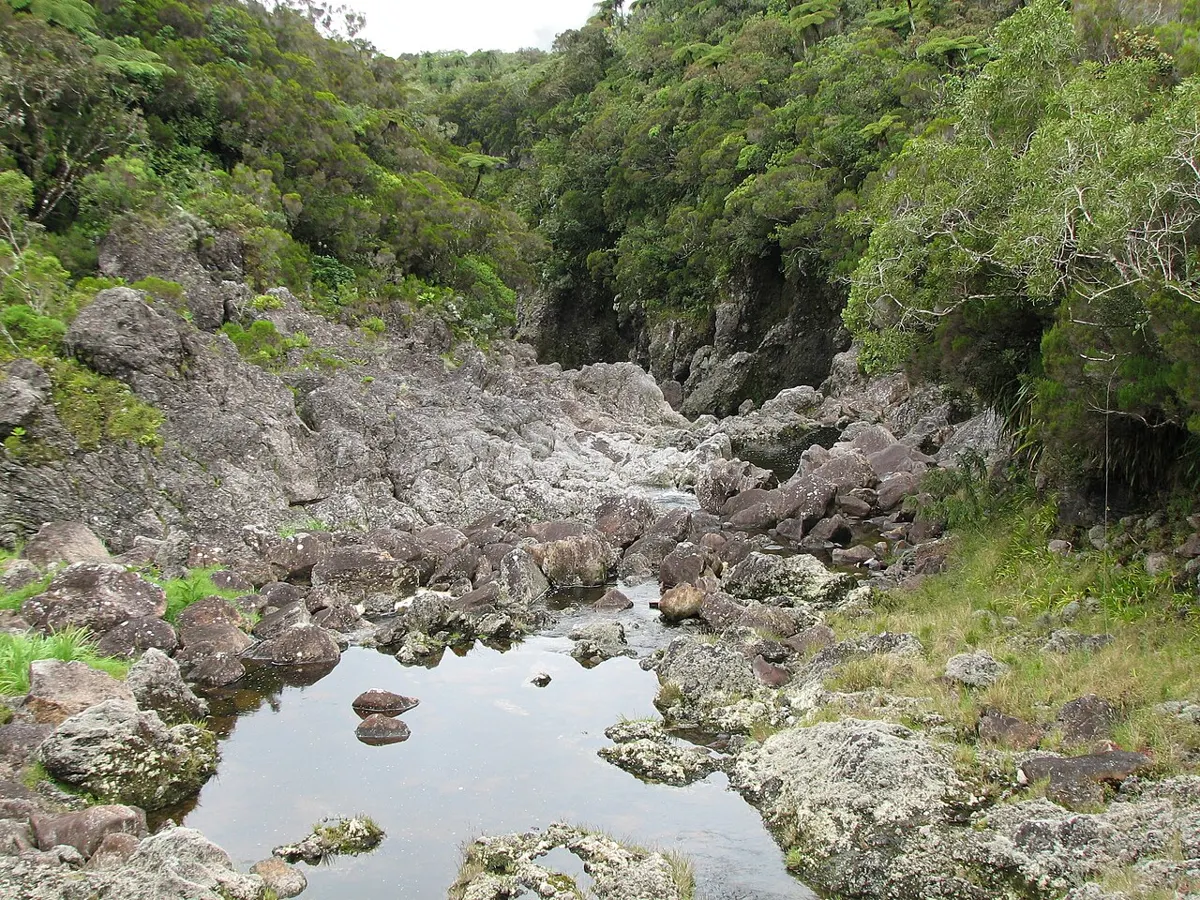Rivière des Marsouins