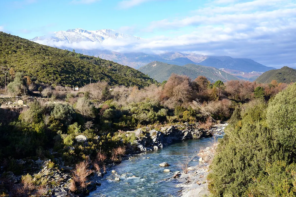 Le Tavignano