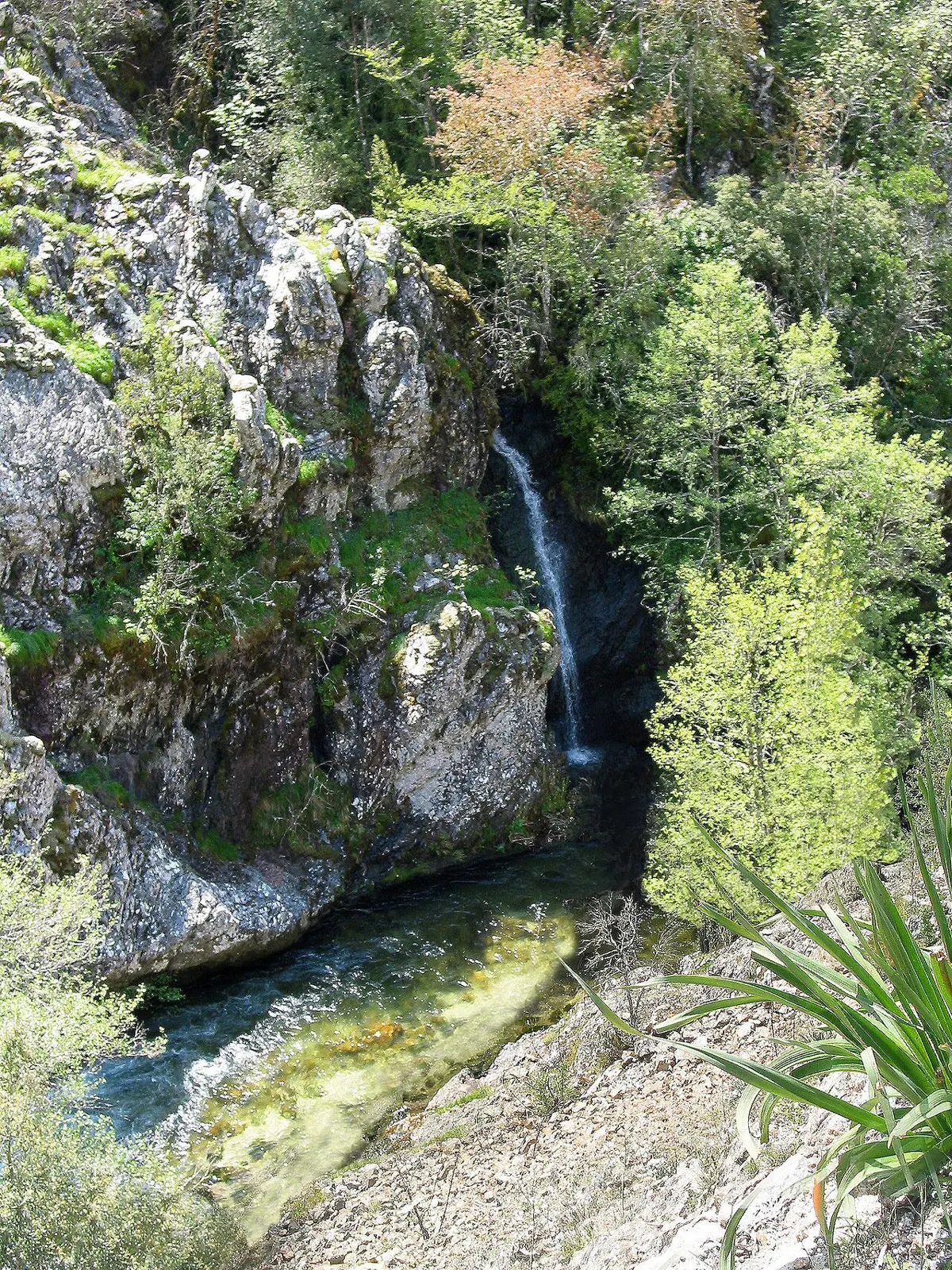 Le Prunelli