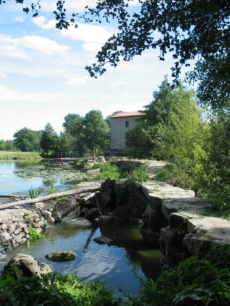 La Sèvre Nantaise