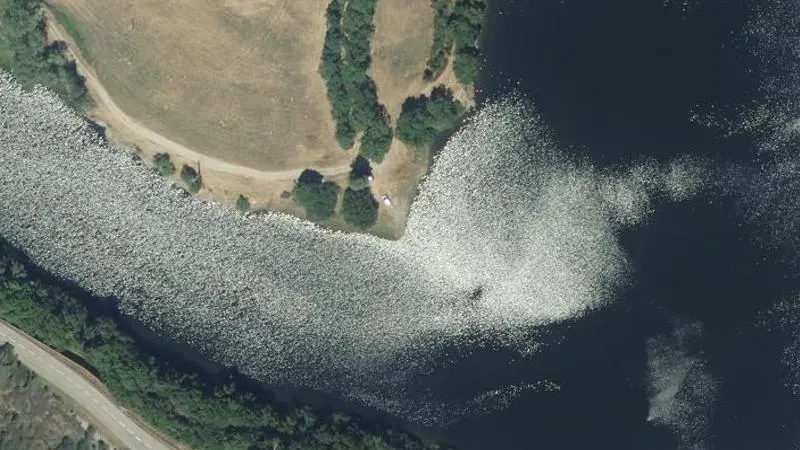 Vue aérienne : Plan d'eau du Rachas