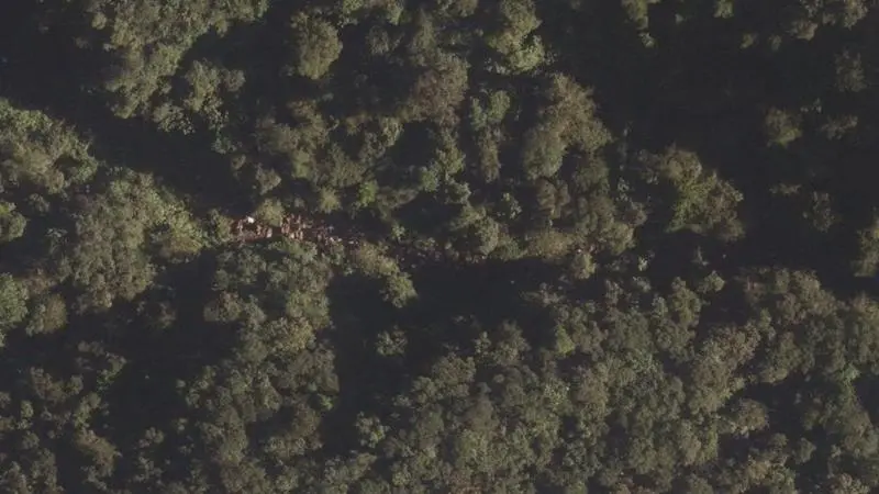 Vue aérienne : Zone de baignade dans la Rivière du Grand Carbet