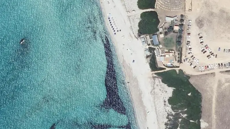 Vue aérienne : Capo Di Feno