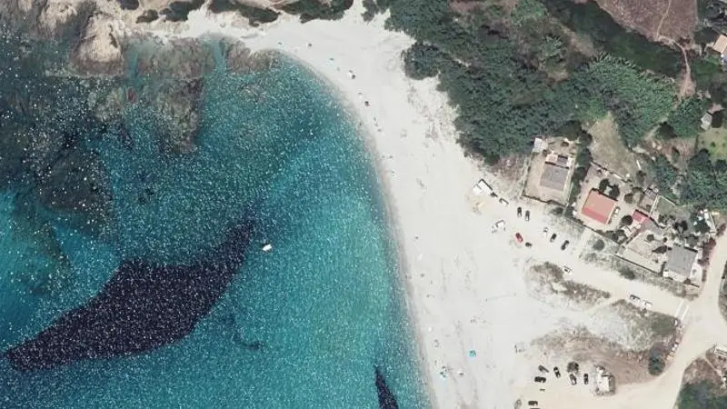 Vue aérienne : Plage de Sevani-Petit Capo