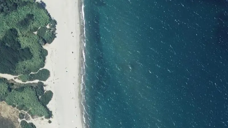 Vue aérienne : Plage du Mas Larrieu