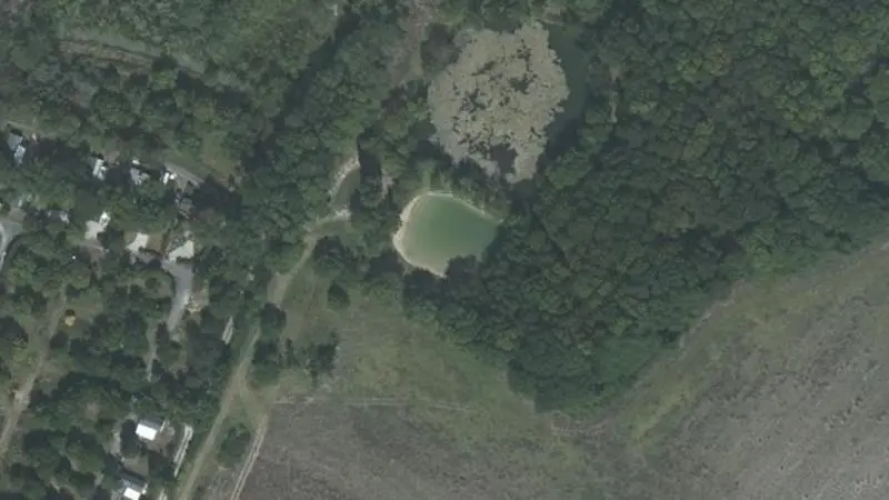 Vue aérienne : Fleurs des Champs