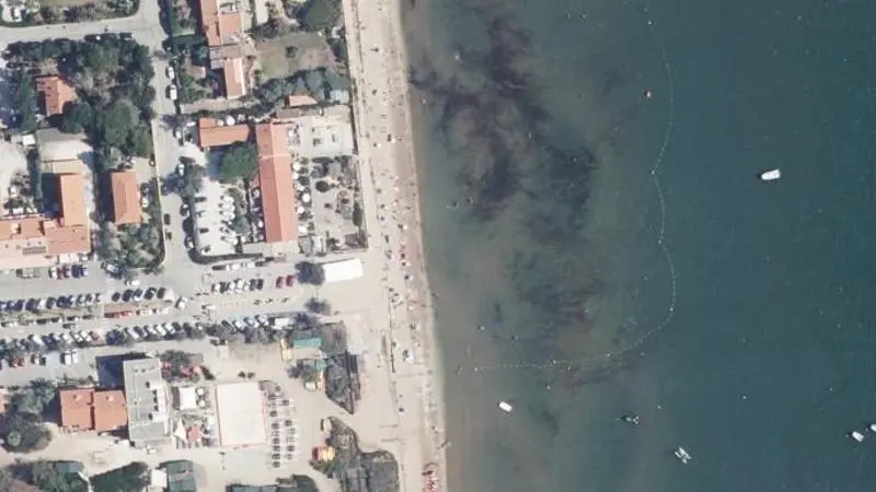 Vue aérienne : Plage la Bergerie