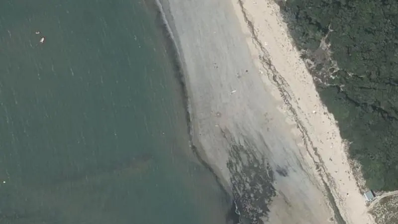 Vue aérienne : Plage la Remigeasse