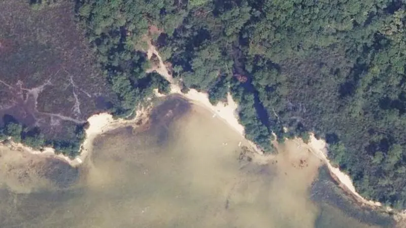 Vue aérienne : Plage du lac de Cazaux et Sanguinet