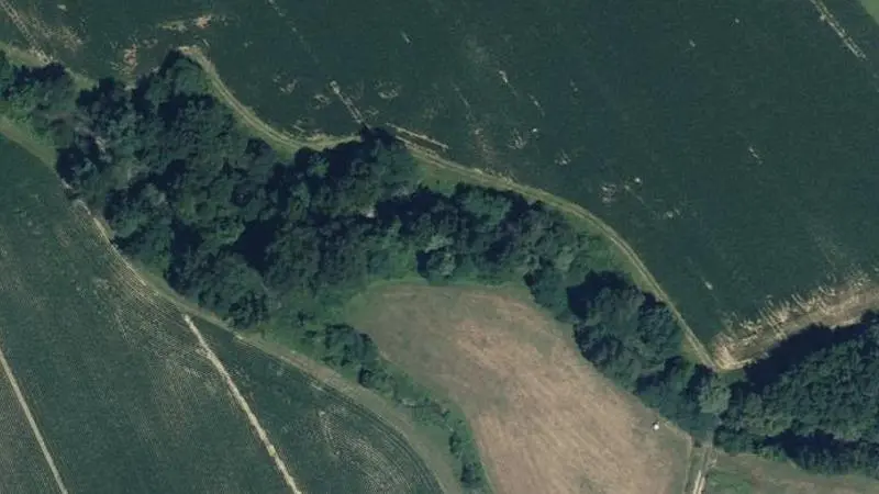 Vue aérienne : Plage de l'Estéous