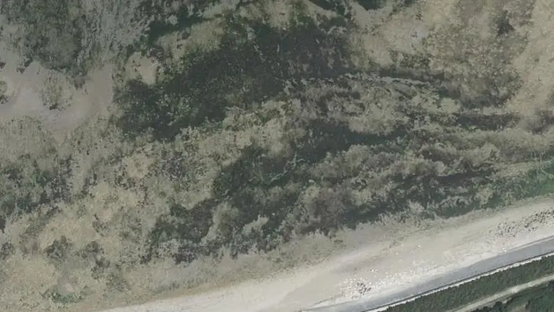 Vue aérienne : Plage des Pas des Gaudins