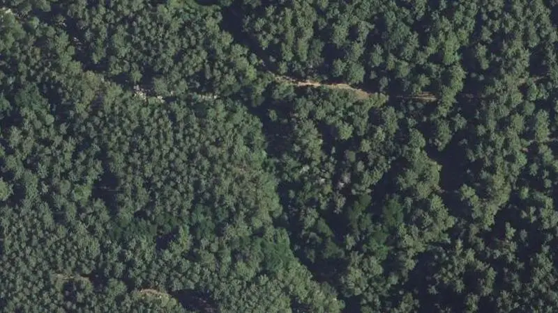 Vue aérienne : Piscine Naturelle